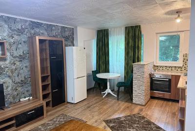 Garsonieră decomandată în Gorjului - 1