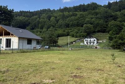 Teren de 3500 mp, în Cuejdiu - 3