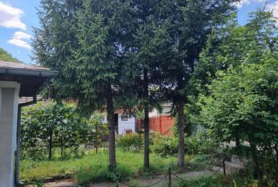 Casă cu 5 camere în Aluniș - 9