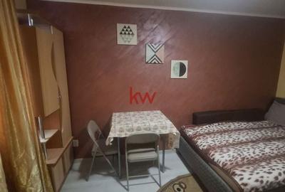 Garsonieră în Alexandru cel Bun - 2