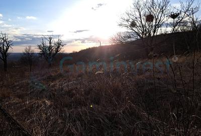 Teren Construcții intravilan de 3250 mp, în Podgoria - 1