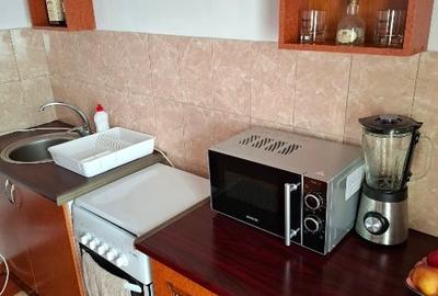 Proprietar închiriez garsoniera ultracentral - 2