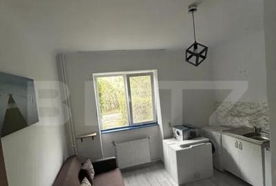 Garsoniera de vanzare, 13 mp Stadion CFR - 2