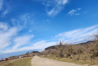 Teren situat in strada Ciresului in suprafata 358 mp in Sanpetru