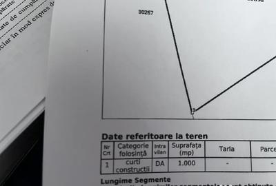 Teren de 1000 mp, în Berzasca - 5