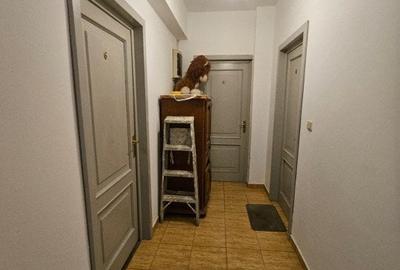 Vila-Colentina-Rezidential/Comercial/Birouri - 2