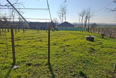 Casa de vanzare. Strada Gradinitei nr.20 jud.Ialomita - 4