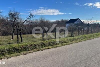 Casă cu 2 camere în Săliștea - 2