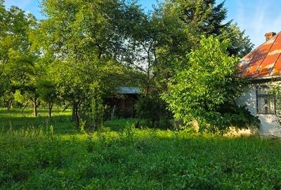 Teren intravilan de 2500 mp, în Breaza de Jos - 5