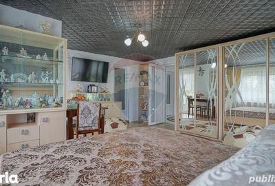 Casa de vanzare S+P+E+M - 8