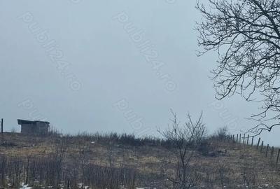 Vand casa de vanzare in Aghire?u-Fabrici - 5