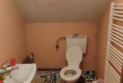 Casă cu Teren 1400 Mp în Tormac - 12