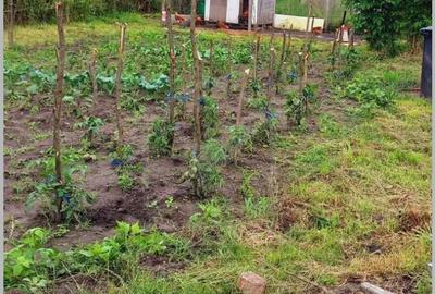 Casă cu 3 camere cu Teren 927 Mp în Așchileu - 11