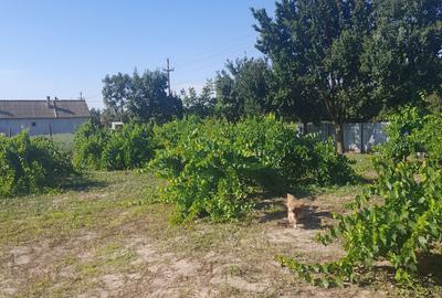 Casă cu 4 camere în Lunca - 2
