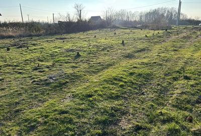 Spațiu comercial, în Moșoaia - 5