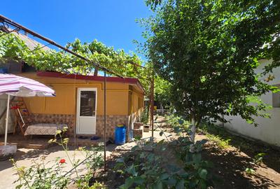 Casă individuală cu 5 camere cu Canalizare în Coiciu - 11
