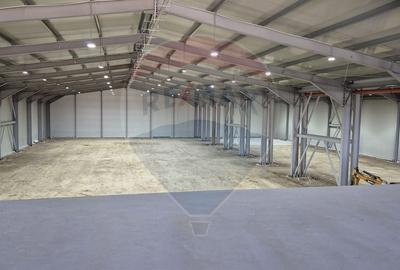 Spațiu industrial, de 2,645 mp, în Balotești - 2