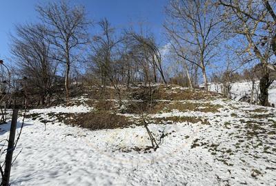 Casă individuală cu 4 camere cu Canalizare în Priboieni - 17