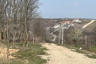 Teren de 9783 mp, în Paleu - 4