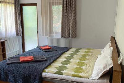 PENSIUNE DE LUX – SKY LOFT BRAȘOV - 4