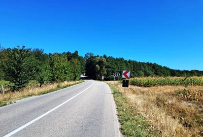 TEREN INTRAVILAN ȘI EXTRAVILAN BAIA DE FIER - 7