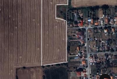 Teren  cu Potențial Rezidențial / Investițional – Macea, Jud. Arad – 3,18ha - 3