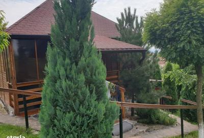 Casă cu 4 camere în Aleșd - 12