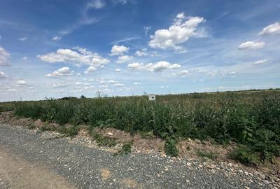 Teren Construcții intravilan de 647 mp, în Exterior Nord - 2