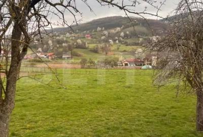 Teren în Șuncuiuș - 8