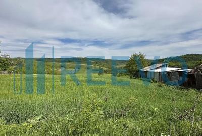 Teren de 5351 mp, în Roșiori - 7