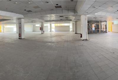 Ultracentral - Magazin Luceafarul - etajul 3 (integral) - 16