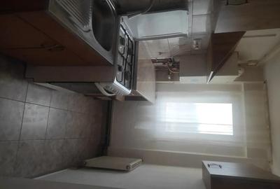 Apartament cu 2 camere decomandat în Bejan - 18