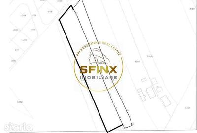 Teren de 6536 mp, în Ciolpani