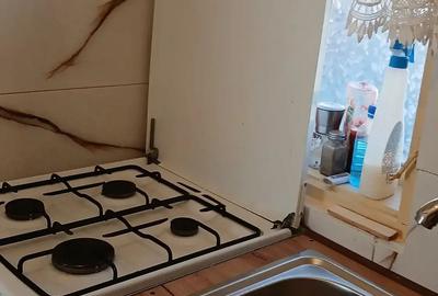 Vand casa la curte - 7