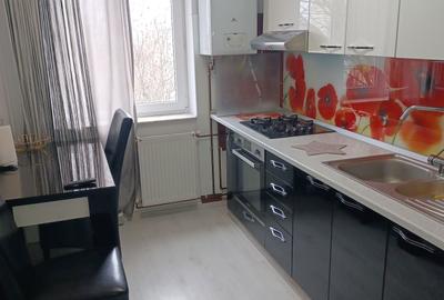 Apartament cu 2 camere semidecomandat în Radu Negru - 8