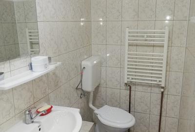 Inchiriez garsoniera la curte - 3