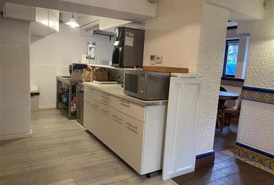 Casă individuală cu 8 camere cu Teren 161 Mp în Cișmigiu - 13