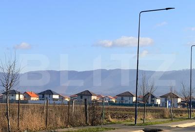 Teren de inchiriat 10.000mp -CRISTIAN - 2