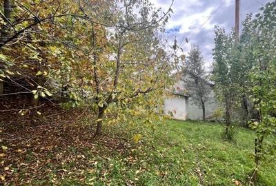 Spațiu comercial, de 1,388 mp, în Ciocănești - 6