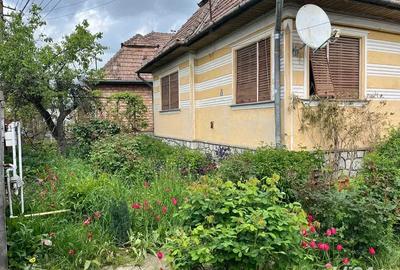 Casa individuala 3 camere, 125 mp, teren generos de 1.400 mp (gradina ?i livada) - 3