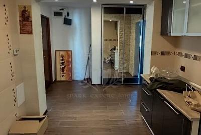 Apartament cu 2 camere, mobilat în Paltiniș - 3