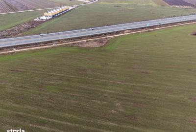 Teren de 29777 mp, în Dascălu - 1