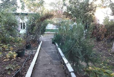 Teren Intravilan 580mp unic pe Strada Dantelei Teren Intravilan 580mp unic pe Strada Dantelei - 6