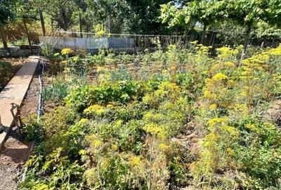 Casa spatioasa in Ovidiu - 20