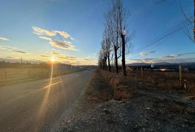 Vanzare teren intravilan 2,5 ha - infrastructura industriala ?i hala func?ionala - 6