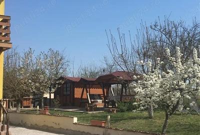 Casă cu 6 camere în Făclia - 2