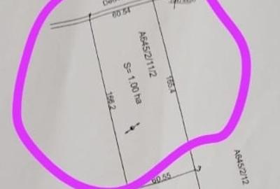 Teren Construcții extravilan de 10000 mp, în Moșnița Nouă - 1