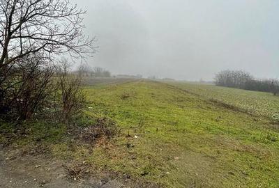 Teren de 6105 mp, în Sălciile - 2