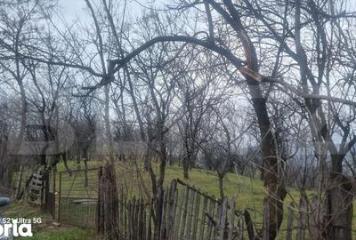 Teren de 3781 mp, în Izvoarele - 16