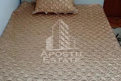 Apartament cu 3 camere decomandat, mobilat în Șagului - 3